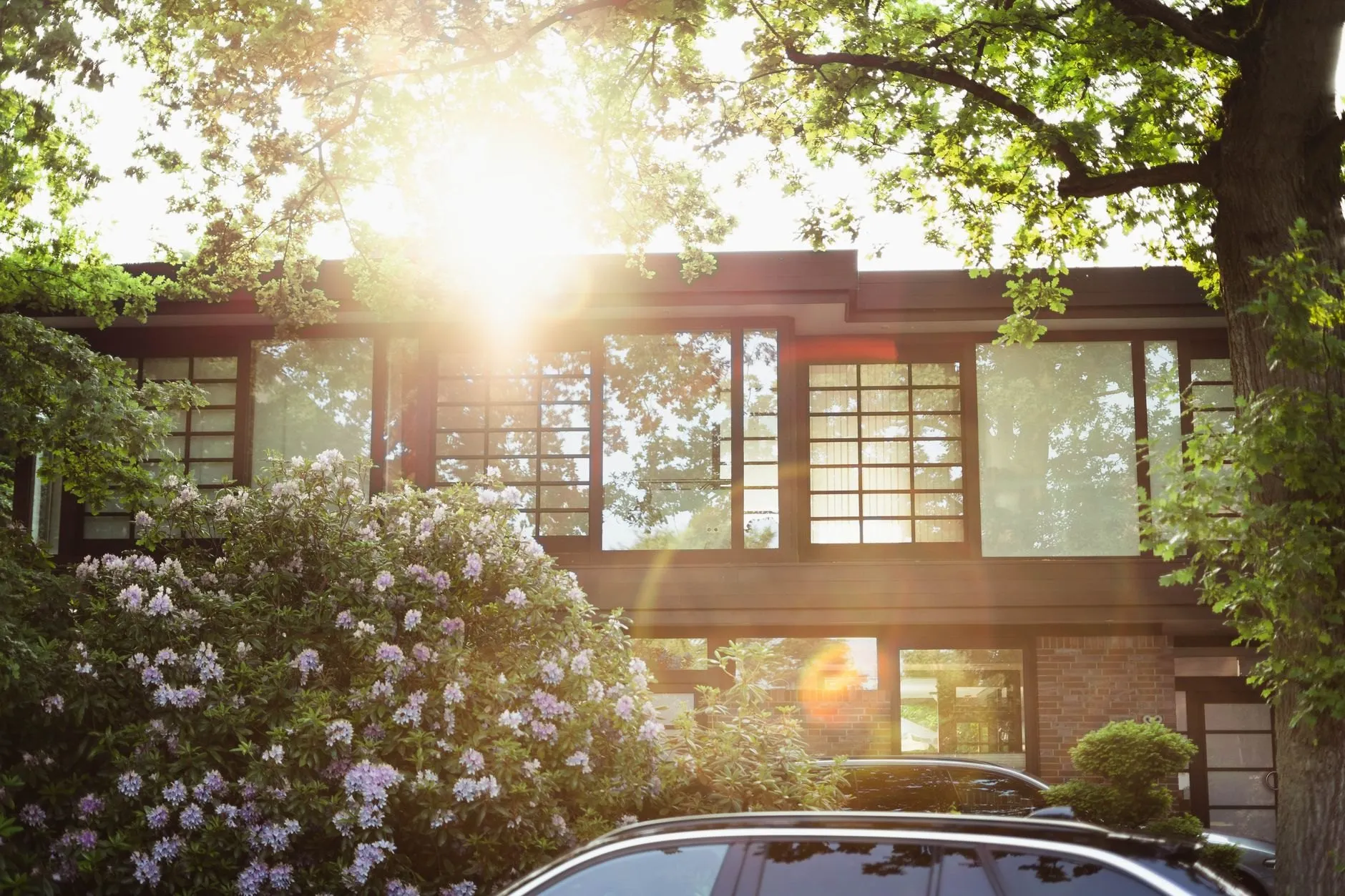 Afternoon sun through the trees over a house